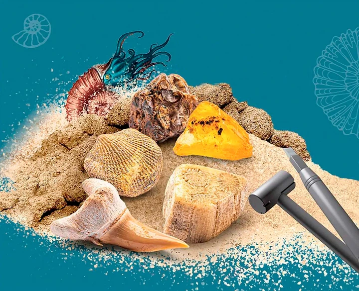 Zestaw badawczy Kosmos Dig Out Fossils Wykopaliska skamieniałości 161722 (4002051617226) - obraz 3