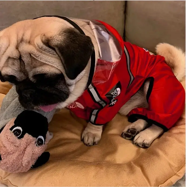 Дождевик для собак с капюшоном dog face красный M размер - Фото 4 Дождевик для собак с капюшоном dog face красный M размер - изображение 4