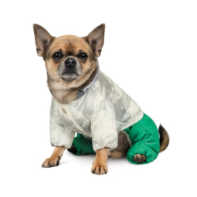 Костюм Pet Fashion Man для собак, размер XS, зеленый от продавца: LiKEO ...