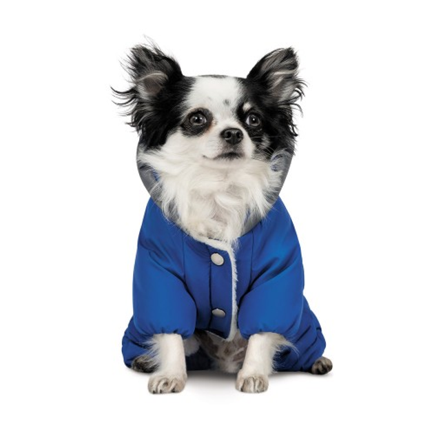 Костюм Pet Fashion Zhan для собак, размер XS, голубой от продавца ...