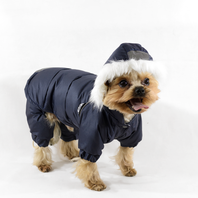 Lucky Pet Костюм Соло синий M №0, 25 х 40 см - Фото 2 Lucky Pet Костюм Соло синий M №0, 25 х 40 см - изображение 2