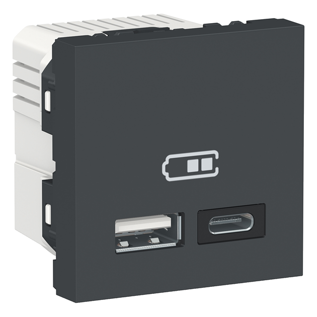 Двойная USB розетка A+C антрацит [NU301854] ABS Unica New Шнейдер ...