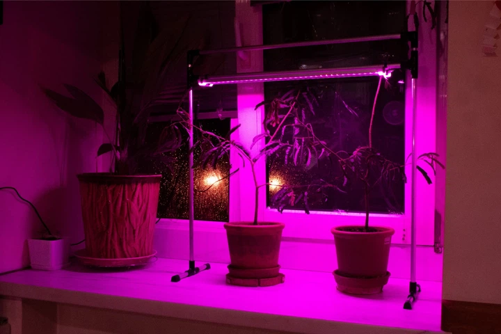 LED Лампа для растений DUO Bicolor на подоконник. Фито лампа для комнатных растений, рассады, цветов, орхидей, микрозелени. - изображение 4