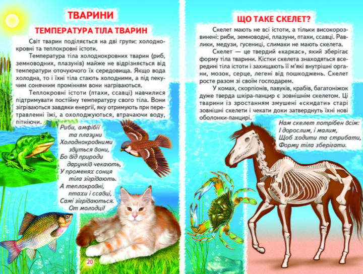 Тварини і рослини Пізнаємо світ разом Дитячі енциклопедії - зображення 4