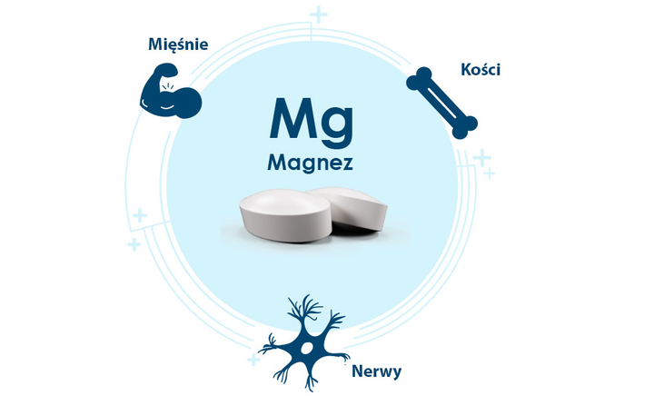 Suplement diety Pharma Nord Bio-Magnez 30 tabletek (5709976231108) - obraz 3