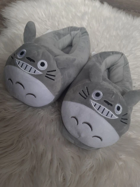 Капці-кігурумі Аніме Котик Тоторо My Kigu Домашні Чоловічі М'які