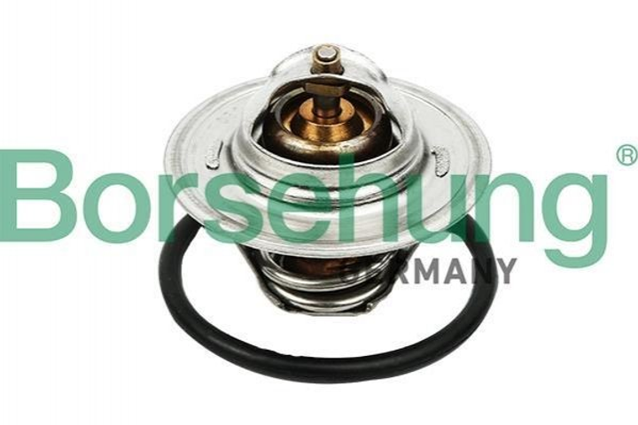 Термостат Borsehung B13140 Skoda Octavia, Fabia; Audi TT, A6, A3; Volkswagen Jetta, Multivan, Golf, Polo, Caddy, Transporter, Passat; Seat Cordoba, Ibiza, Leon 050121113C, 050121113H, 050121113J - зображення 1