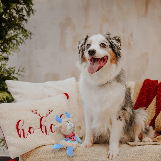 Іграшка для собак Dingo Олень Лукас шарудить, пищить плюшевий 9 x 36 см (5904760174764) - зображення 3