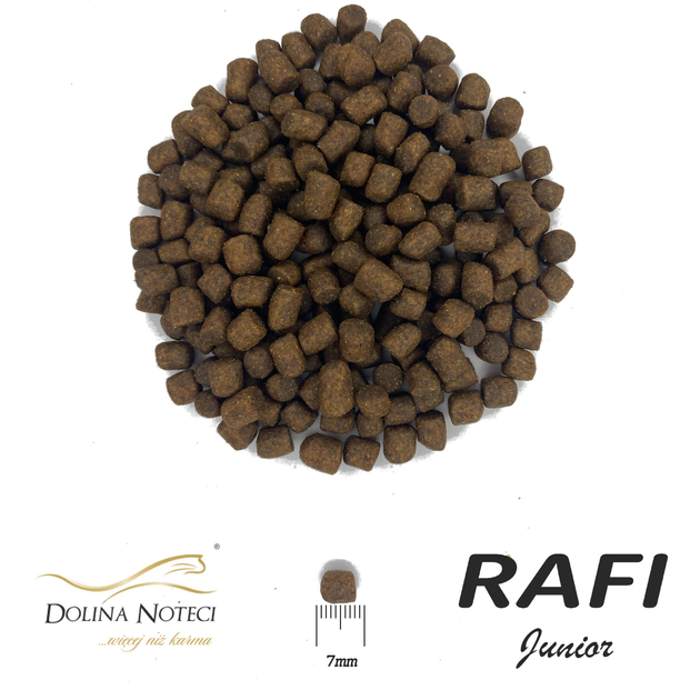 Sucha karma dla szczeniąt Dolina Noteci RAFI Junior z jagnięciną 10 kg (5902921305538) - obraz 2