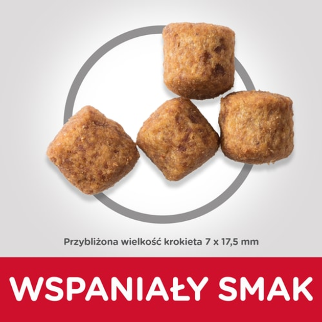 Sucha karma dla starszych psów dużych ras Hill's Science Plan z kurczakiem 18 kg (0052742183008) - obraz 4