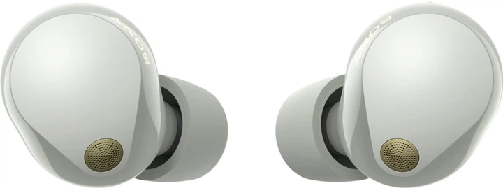 Наушники Sony WF-1000XM5 Platinum Silver (WF1000XM5S.CE7) купить в