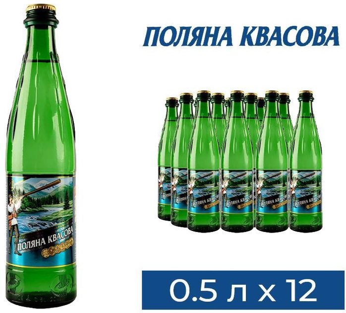 Акція на Упаковка мінеральної газованої води Поляна Квасова 0.5 л х 12 пляшок від Rozetka