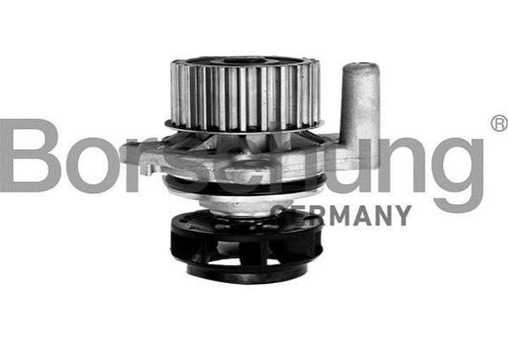 Водяний насос Borsehung B12688 Volkswagen Touran, Jetta, Caddy, Transporter, Polo, Golf, Bora, Sharan; Seat Ibiza, Cordoba, Toledo; Skoda Octavia, Superb, Fabia; Audi TT 06A121011S, 06A121012G, 06A121011Q - зображення 1