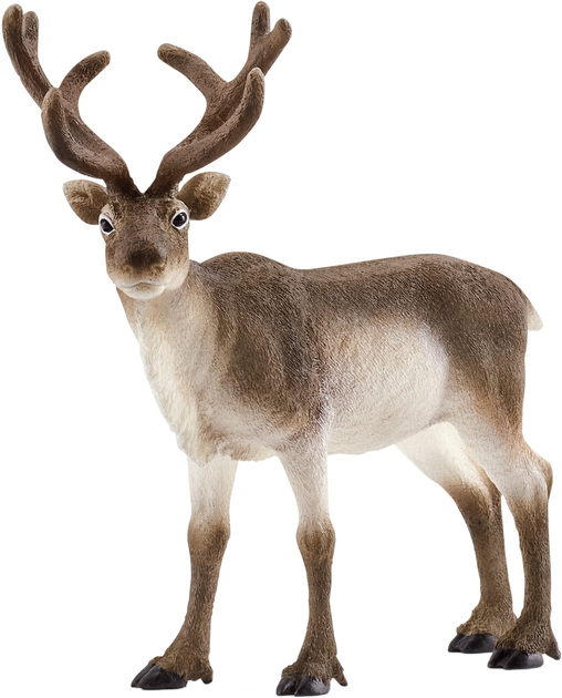 Figurka Schleich Wild Life Reindeer (4059433013961) - obraz 1