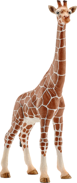 Іграшка-фігурка Schleich Wild Life Самка жирафа (4005086147508) - зображення 1