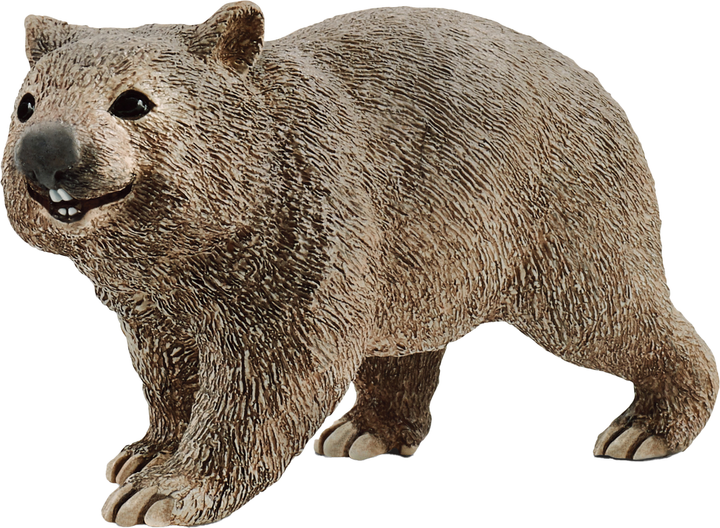 Figurka Schleich Wild Life Animals Wombat 7.5 cm (4059433039718) - obraz 1