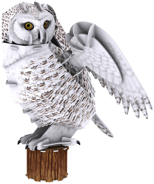 Puzzle konstrukcyjne CubicFun 3D Brakujące zwierzęta Sowa śnieżna (306-DS1079H) - obraz 3