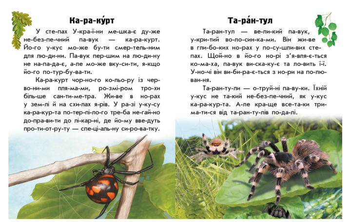 Читаю об Украине Животные степей Книга для самостоятельного чтения Ранок - Фото 4 Читаю об Украине Животные степей Книга для самостоятельного чтения Ранок - изображение 4