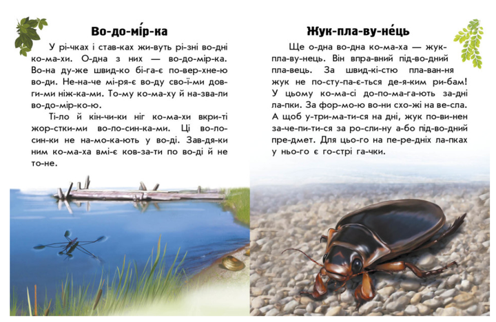 Читаю об Украине Животные рек и морей Книга для самостоятельного чтения Ранок - Фото 3 Читаю об Украине Животные рек и морей Книга для самостоятельного чтения Ранок - изображение 3