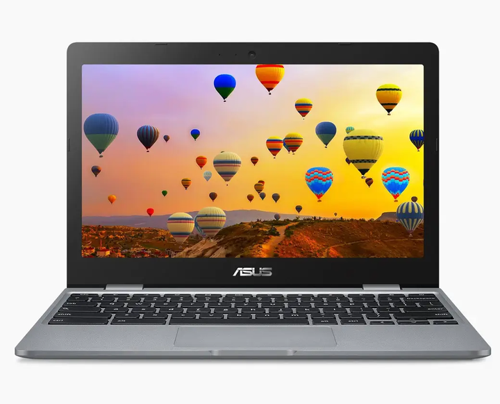 Ноутбук Asus ChromeBook C223 11.6