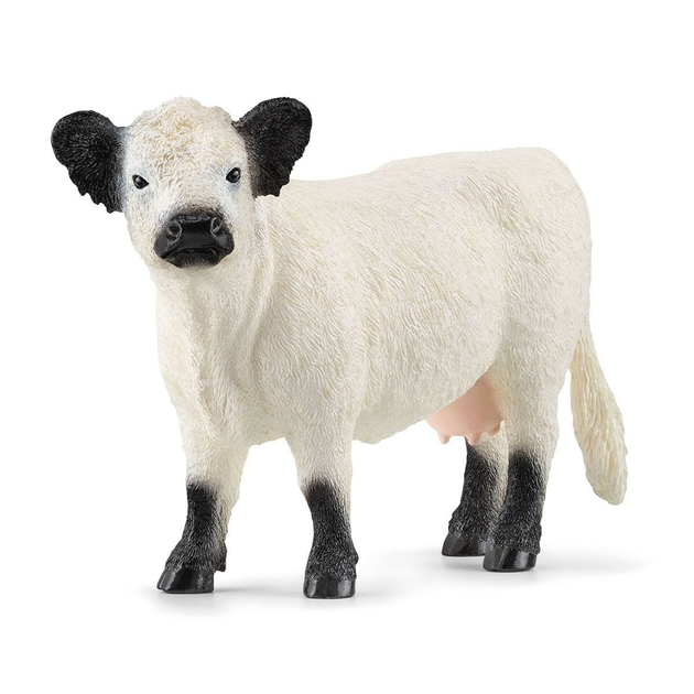 Figurka Schleich Farm World Galloway Cow 9 cm (4059433578255) - obraz 1