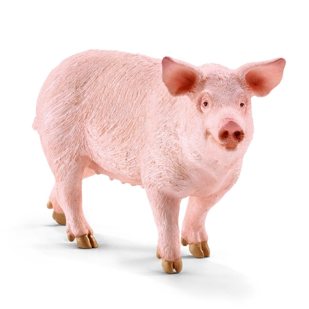 Figurka Schleich Pig Figurine 7.5 cm (4059433322612) - obraz 1