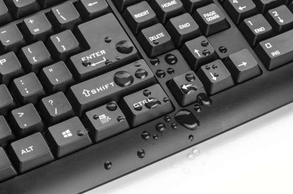 Клавіатура TRUST ClassicLine Keyboard USB (20626) - зображення 2