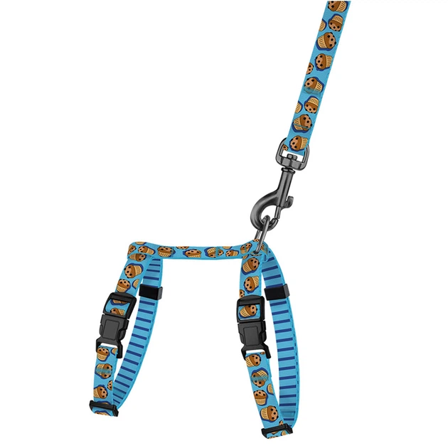 Шлей з Поводком для Котів та Дрібних Собак BronzeDog Urban Fruits