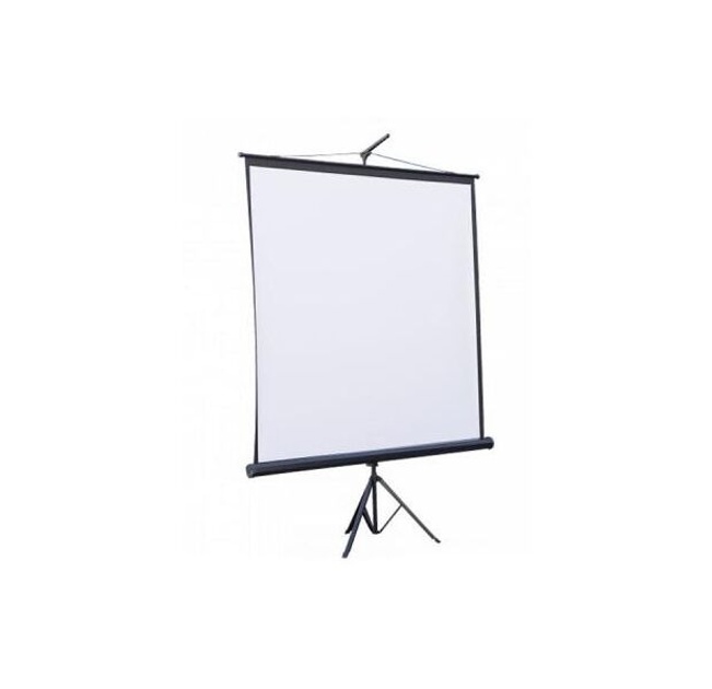 Проекционный экран 110" ATRIA TRM-HD-110D на треноге 244х137см – фото ...