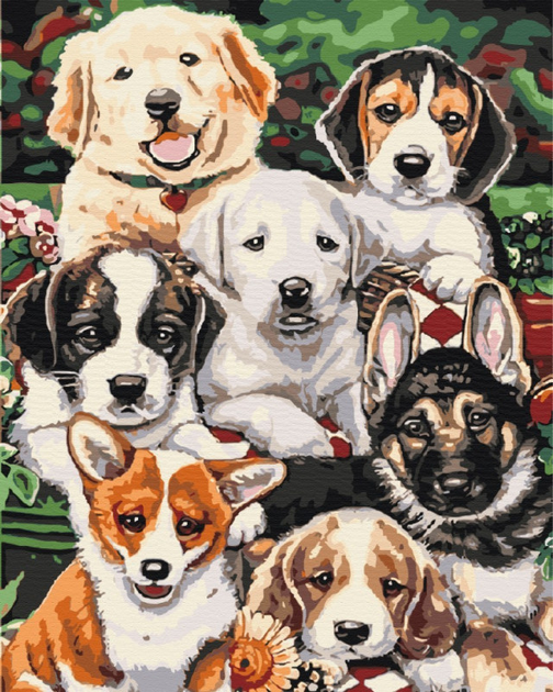 Malowanie po numerach Symag Paint it! Słodkie pieski 40 x 50 cm (5904433380706) - obraz 1