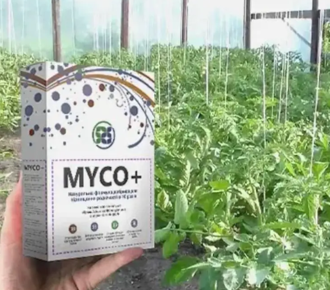 Біодобрива Myco+ Органічний стимулятор росту рослин 12 саше по 8 г (X-25) - зображення 2