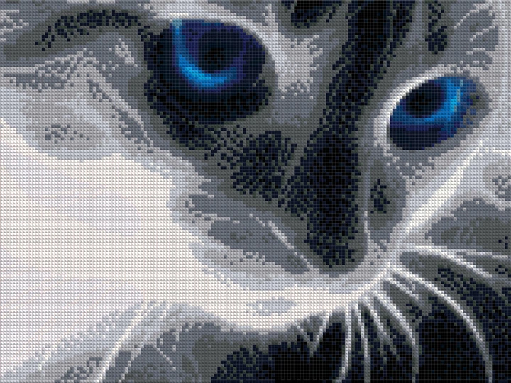 Набор алмазной мозаики Холодный взгляд кота 40x30 см - изображение 2