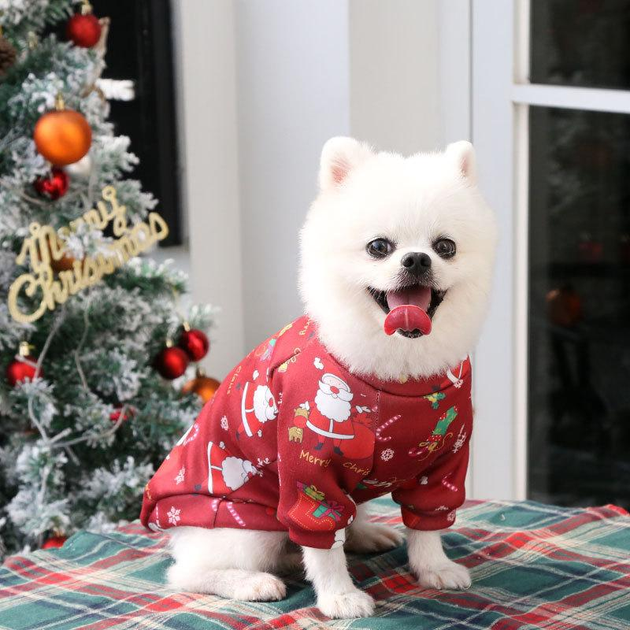 Праздничные костюмы для собак — купить с доставкой по России