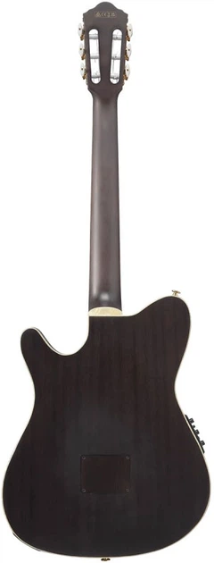 Классическая гитара Ibanez TOD10N-BKF – фото, отзывы
