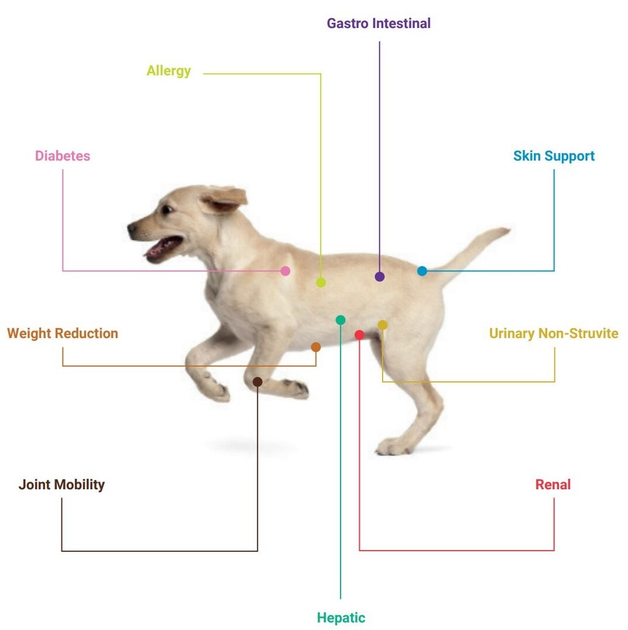 Mokra karma dla psów ze schorzeniami wątroby 4Vets Natural - Hepatic Dog 400 g (5902811741088) - obraz 2