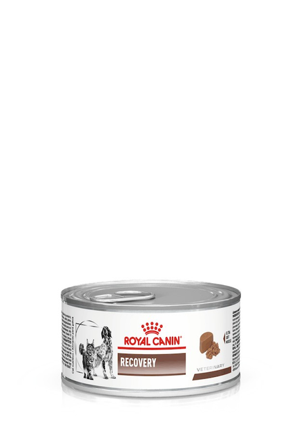 ROYAL CANIN RECOVERY 0.195 40550021