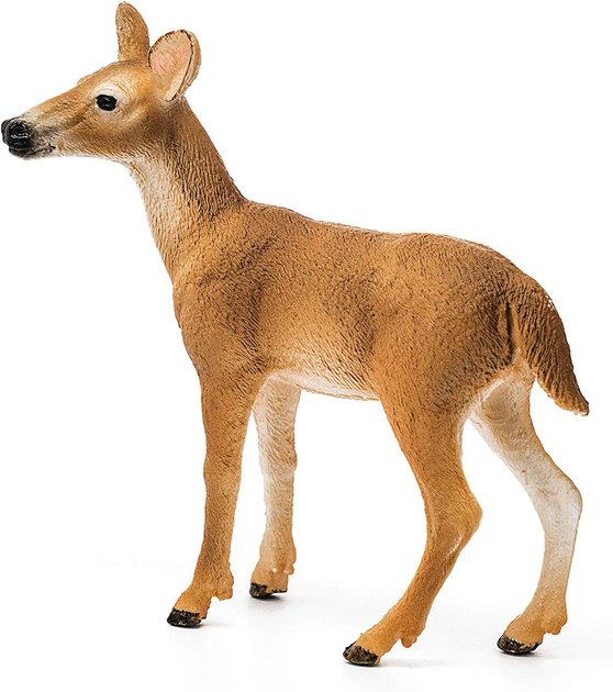 Фігурка Schleich Wildlife White Tailed Doe 8.5 см (4055744029615) - зображення 4
