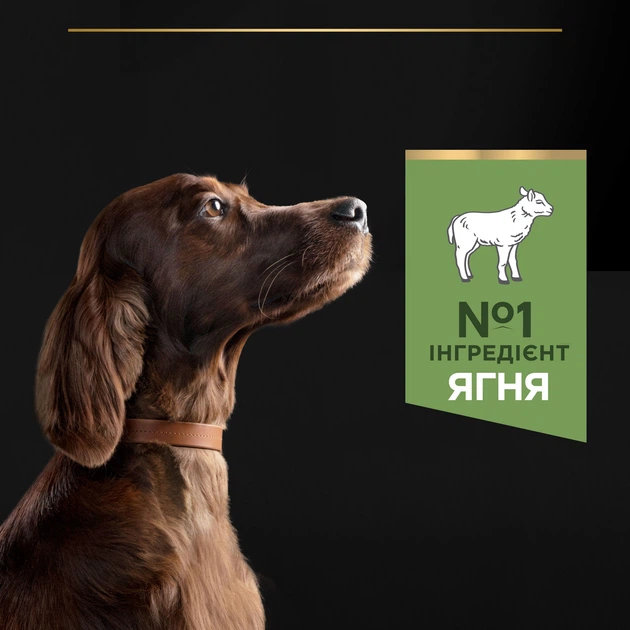 Сухой корм Purina PRO PLAN Large Athletic Adult 2+ Sensitive Digestion для взрослых собак больших пород атлетического телосложения с чувствительным пищеварением, с ягненком 14 кг (7613035415591) - Фото 6 Сухой корм Purina PRO PLAN Large Athletic Adult 2+ Sensitive Digestion для взрослых собак больших пород атлетического телосложения с чувствительным пищеварением, с ягненком 14 кг (7613035415591) - изображение 6