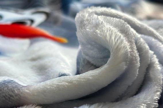Плед iPuff «Коти» Одношаровий, 135х150 см - Фото 2 Плед iPuff «Коти» Одношаровий, 135х150 см - зображення 2