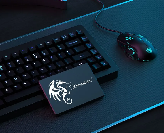 Жесткий диск SSD Somnambulist накопитель 256 Гб Sata III 2,5" - изображение 3