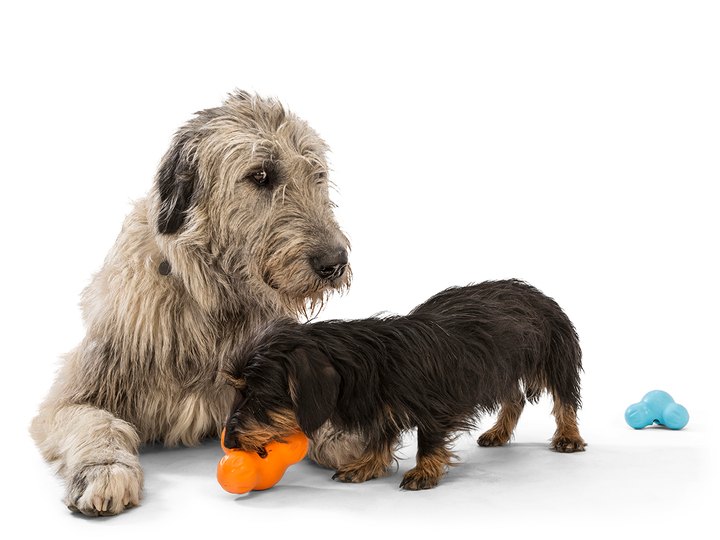 Іграшка для собак West Paw Zogoflex Tux Treat для ласощів 13 см Салатовий (ZG041GRN) - зображення 4