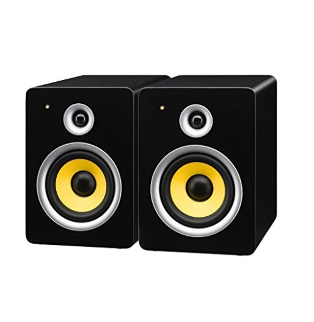 Студийный монитор SOUND-65/SW - изображение 1