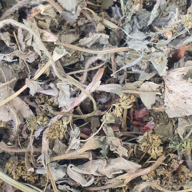 Манжетка/приворотка трава сушена 100 г - зображення 1