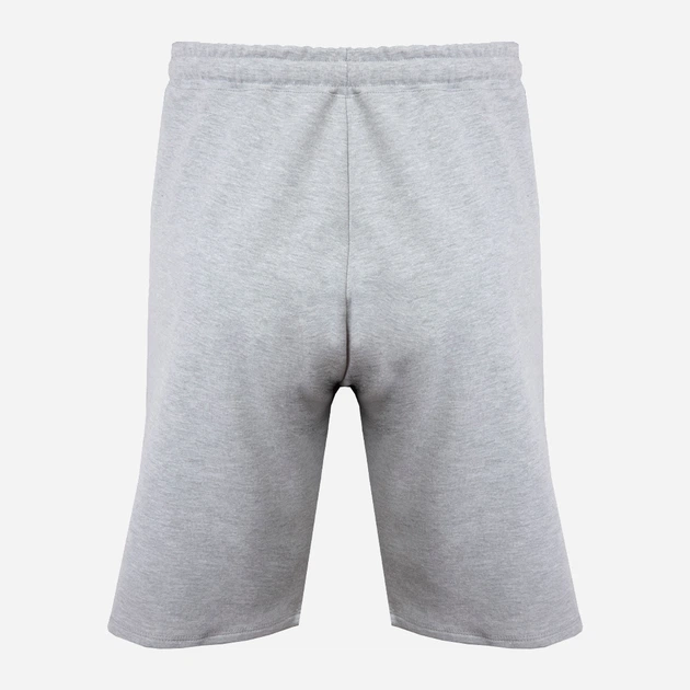 Krótkie spodenki męskie bawełniane DKaren Sam 2XL Szare (5903251463653) - obraz 6