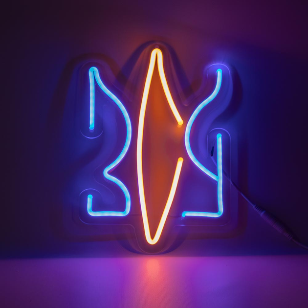 Неоновая вывеска ЗСУ (210х300) – фото, отзывы, характеристики в ...