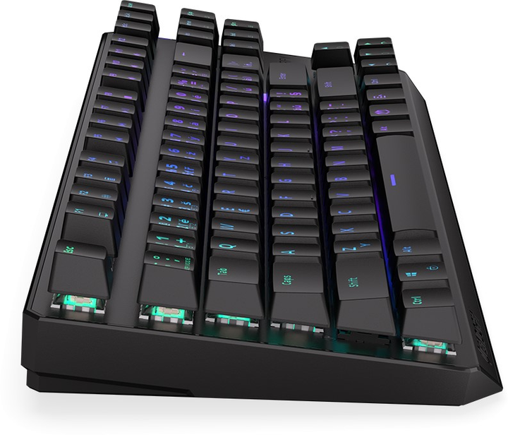 Клавіатура бездротова Endorfy Thock TKL CZ Kailh Box Red Wireless Black (EY5C005) - зображення 6