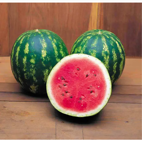 Кавун Кримсон світ круглий 1гр Професійне насіння - изображение 2
