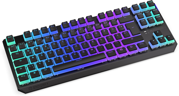 Клавіатура бездротова Endorfy Thock TKL Pudding DE Kailh Box Brown Wireless Black (EY5D016) - зображення 4