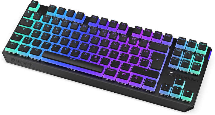 Клавіатура бездротова Endorfy Thock TKL Pudding DE Kailh Box Brown Wireless Black (EY5D016) - зображення 5