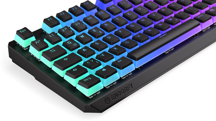 Клавіатура бездротова Endorfy Thock TKL Pudding DE Kailh Box Brown Wireless Black (EY5D016) - зображення 9